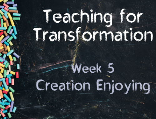 TfT Week 5 – Creation Enjoying