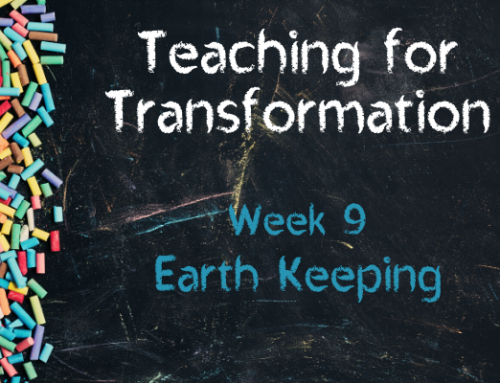 TfT Week 9 – Earth Keeping